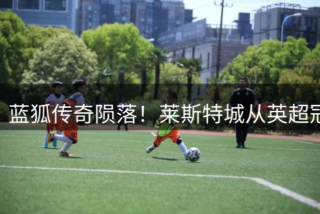 蓝狐传奇陨落！莱斯特城从英超冠军沦落英甲待售